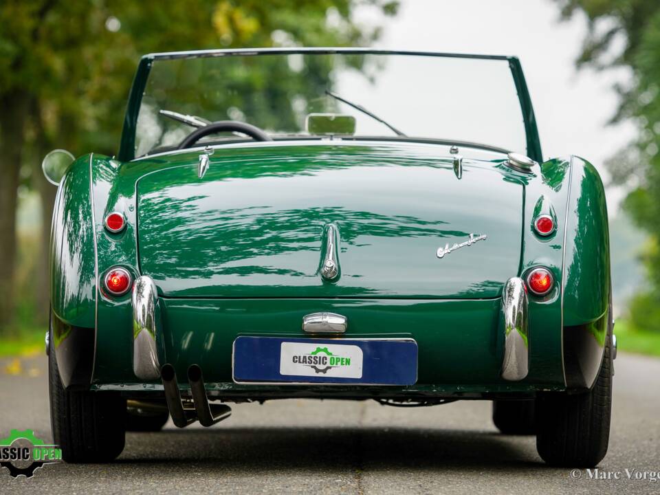 Image 56/59 of Austin-Healey 100&#x2F;6 (BN6) (1958)