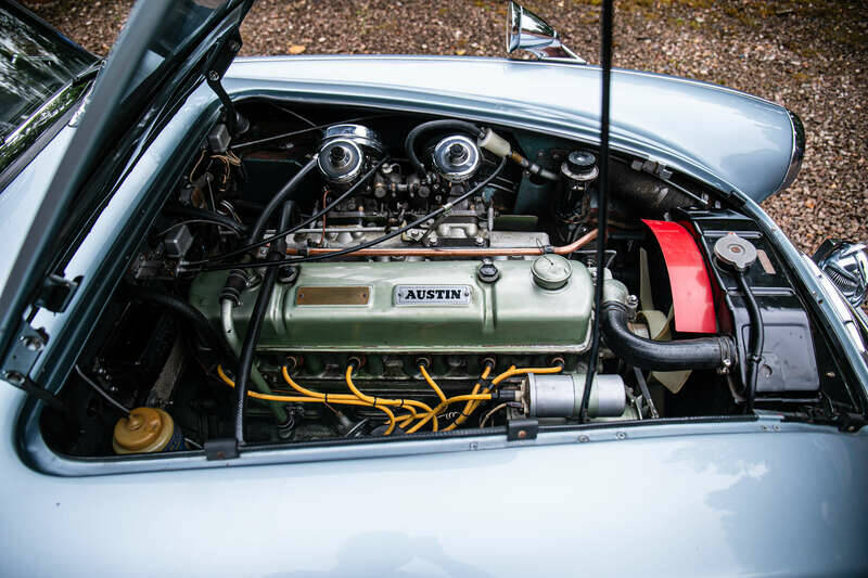 Image 19/49 de Austin-Healey 3000 Mk III (BJ8) (1966)