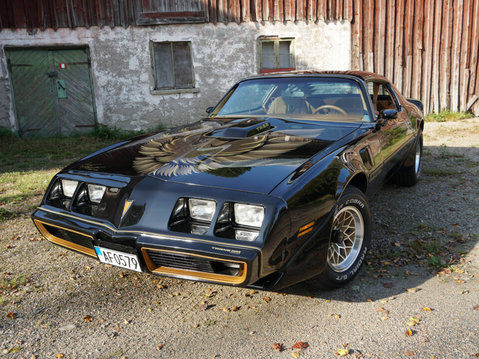 Image 17/69 of Pontiac Firebird TransAm (1979)