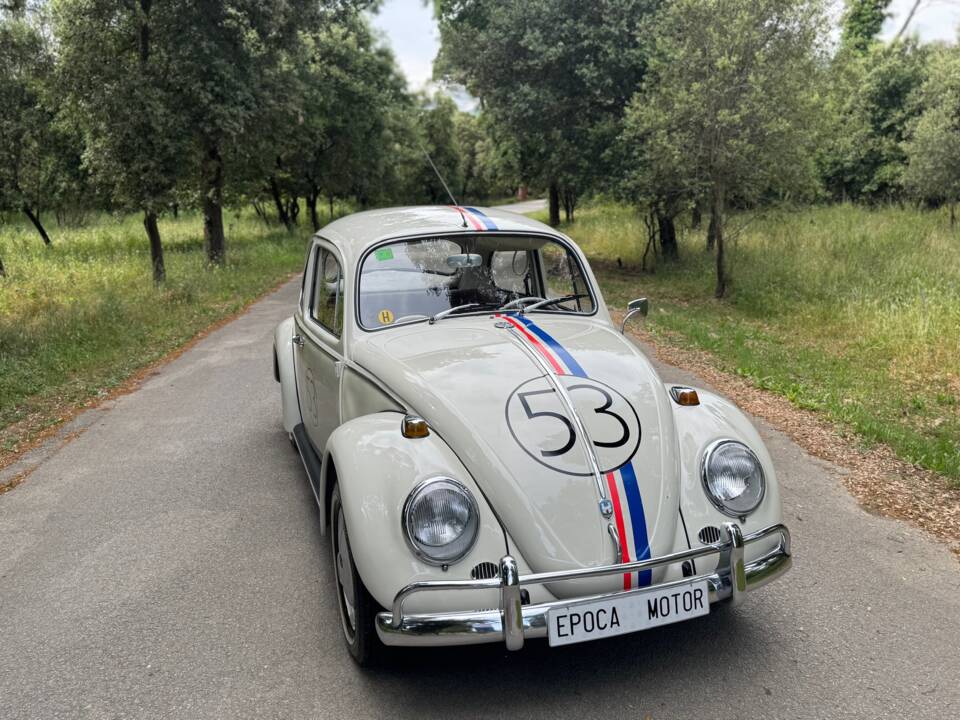 Afbeelding 4/27 van Volkswagen Käfer 1300 (1966)