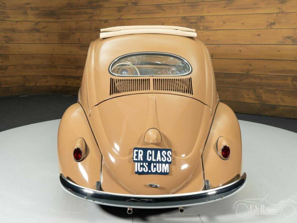 Immagine 15/19 di Volkswagen Maggiolino 1200 Export "Oval" (1957)