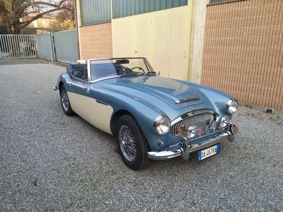 Afbeelding 4/14 van Austin-Healey 3000 Mk II (BJ7) (1963)