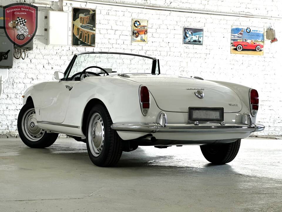 Bild 6/77 von Alfa Romeo Giulia 1600 Spider Veloce (1965)