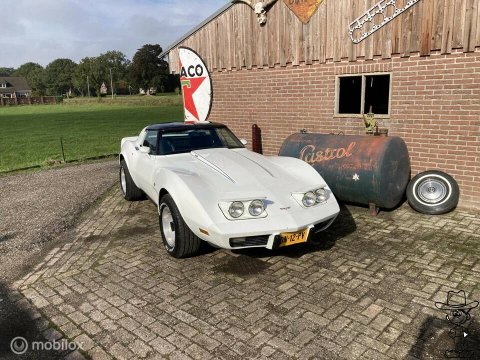 Afbeelding 4/50 van Chevrolet Corvette Sting Ray (1979)