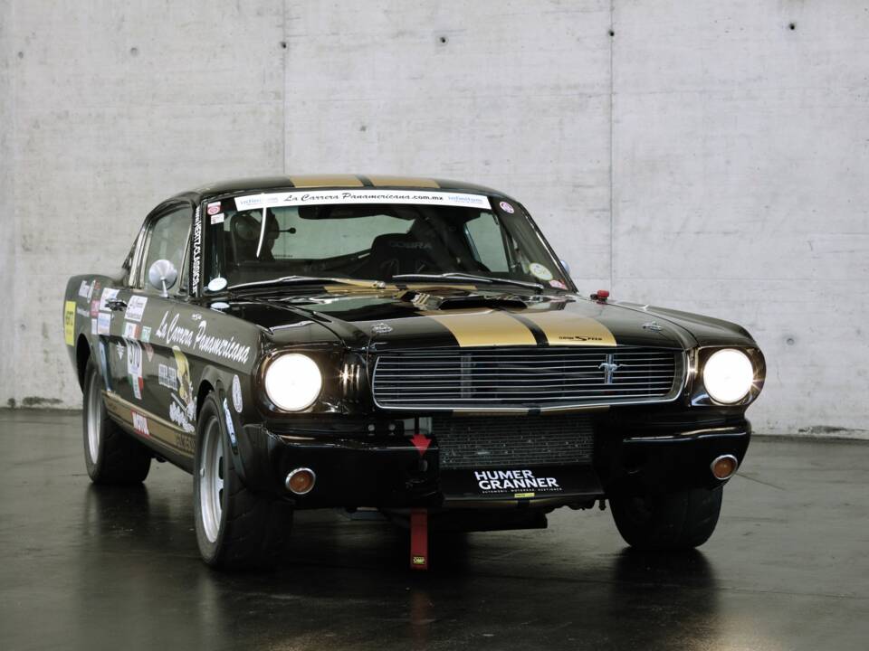 Bild 8/50 von Ford Mustang 289 (1966)