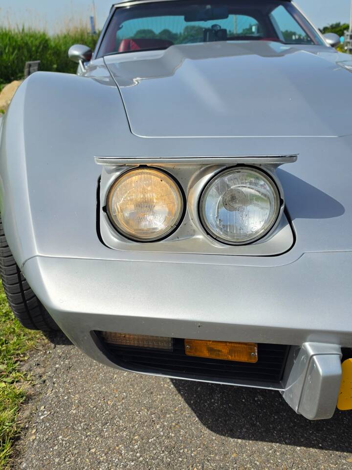 Bild 37/37 von Chevrolet Corvette 5.0L (1979)