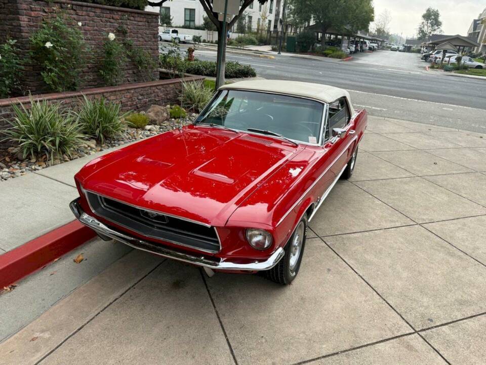 Image 18/50 of Ford Mustang 200 (1968)
