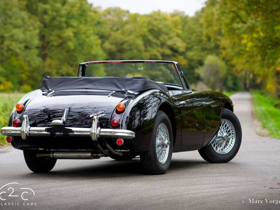 Image 43/51 of Austin-Healey 3000 Mk III (BJ8) (1967)