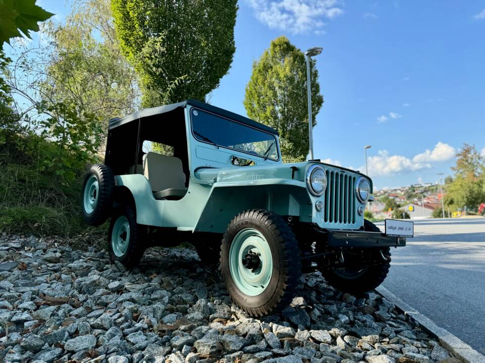 Afbeelding 5/28 van Willys-Overland CJ-3A (1954)