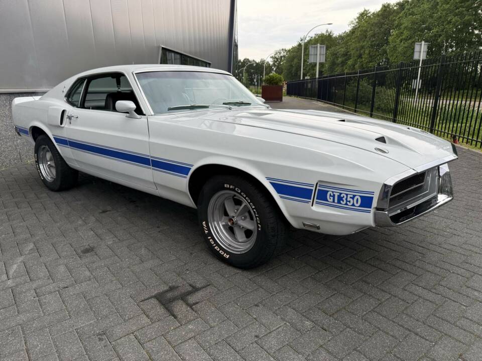 Image 8/50 de Ford Shelby GT 350 (1969)