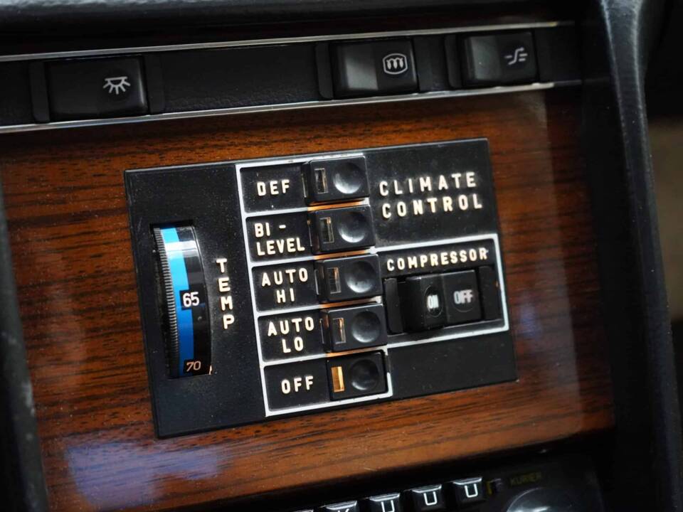 Afbeelding 16/28 van Mercedes-Benz 450 SEL (1979)