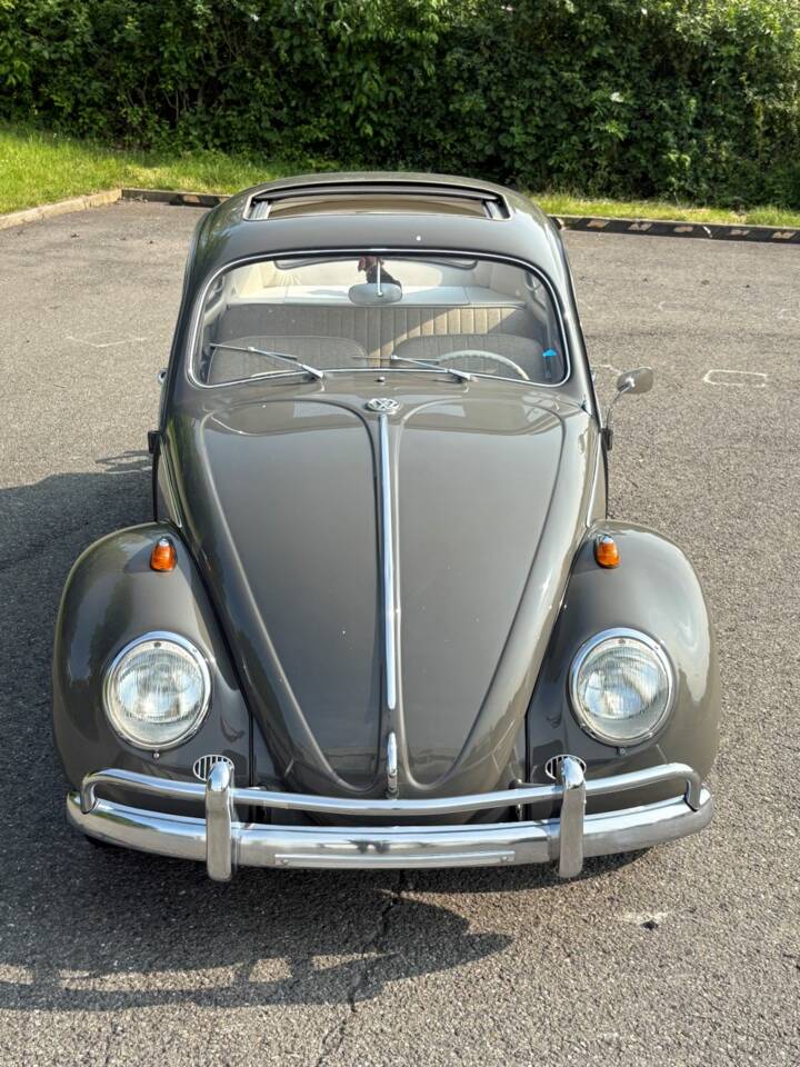 Imagen 23/48 de Volkswagen Coccinelle 1200 Export &quot;Dickholmer&quot; (1963)