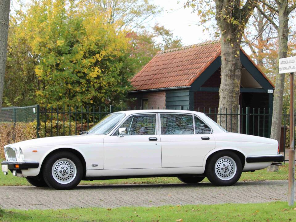 Bild 60/68 von Jaguar XJ 6 4.2 (1985)