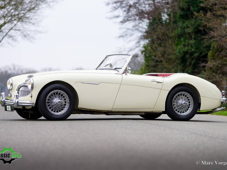 Immagine 22/50 di Austin-Healey 3000 Mk II (BT7) (1961)