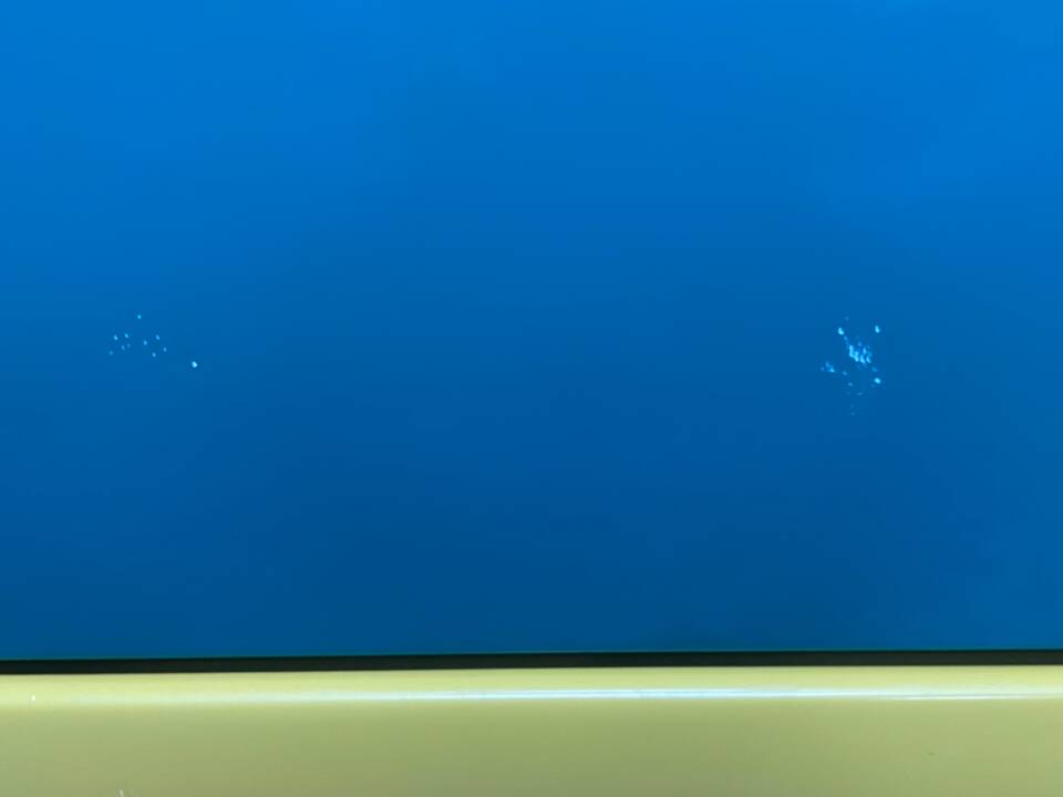 Afbeelding 34/39 van Volkswagen Polo III 1.6 Harlekin (1996)