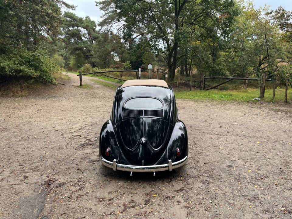 Bild 20/26 von Volkswagen Käfer 1200 Standard &quot;Ovali&quot; (1954)