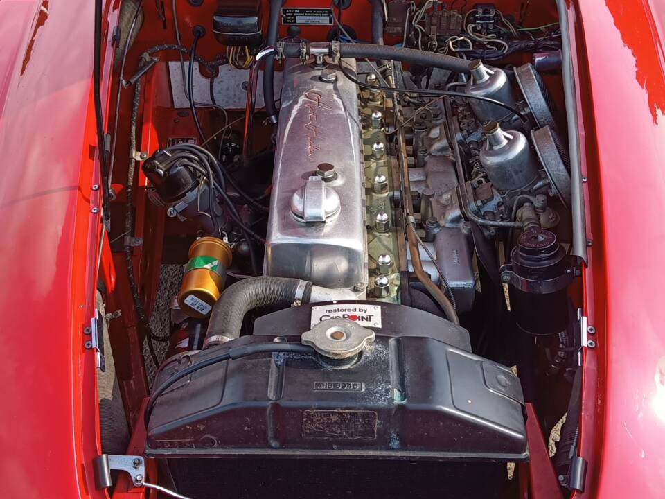 Image 7/23 de Austin-Healey 3000 Mk I (BN7) (1959)