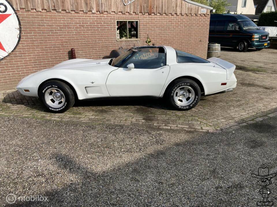Afbeelding 24/50 van Chevrolet Corvette Sting Ray (1979)
