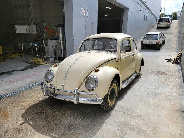 Bild 7/7 von Volkswagen Käfer 1200 Standard &quot;Dickholmer&quot; (1964)