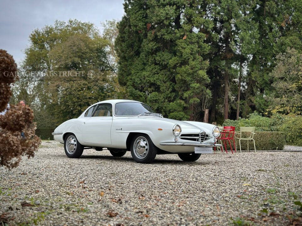 Immagine 10/100 di Alfa Romeo Giulia Sprint Speciale (1963)