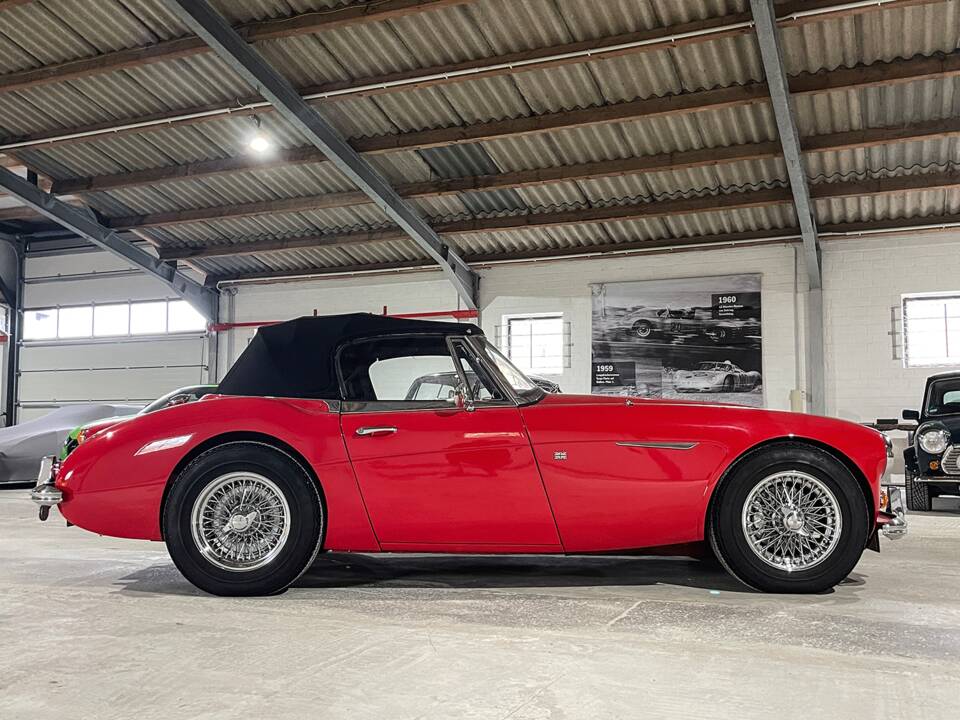 Imagen 9/33 de Austin-Healey 3000 Mk III (BJ8) (1967)