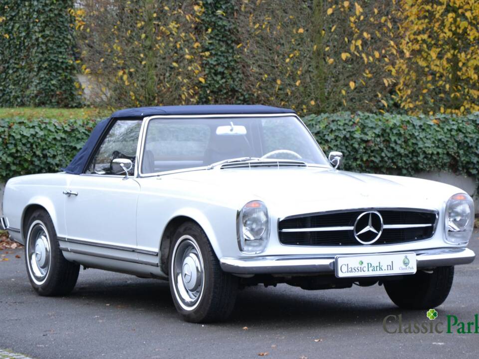 Image 27/50 of Mercedes-Benz 250 SL (1966)