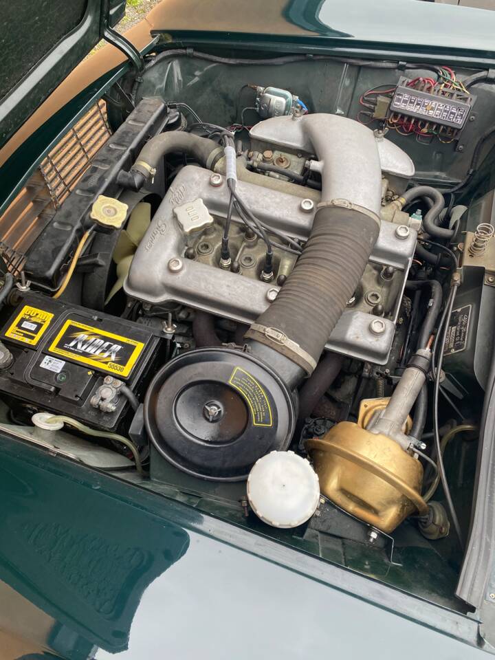 Immagine 6/6 di Alfa Romeo Giulia 1600 Sprint GT (1965)
