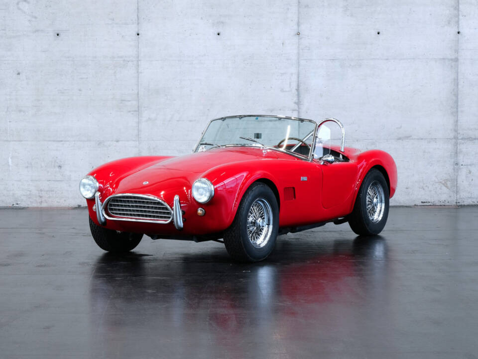 Immagine 1/23 di AC Shelby Cobra 289 (1965)