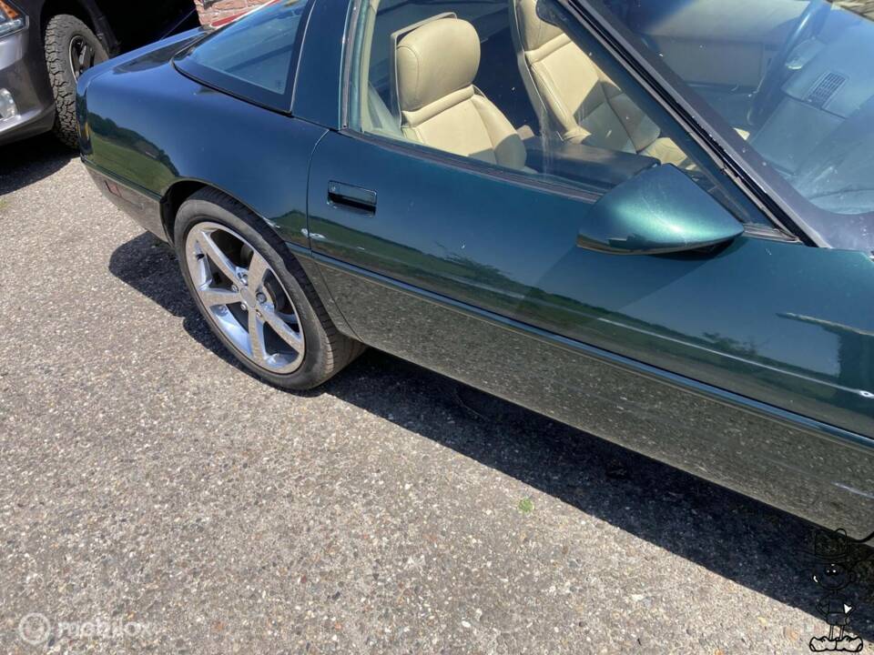 Immagine 25/29 di Chevrolet Corvette (1992)
