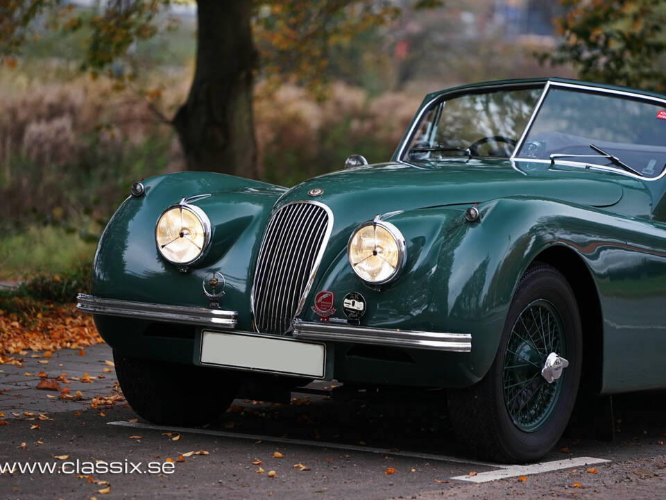 Image 19/23 de Jaguar XK 120 DHC (1954)