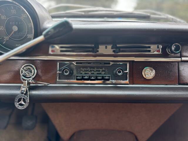 Imagen 32/42 de Mercedes-Benz 250 SE (1967)