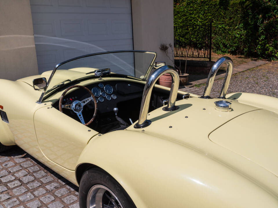 Bild 22/51 von AC Cobra 289 (1999)