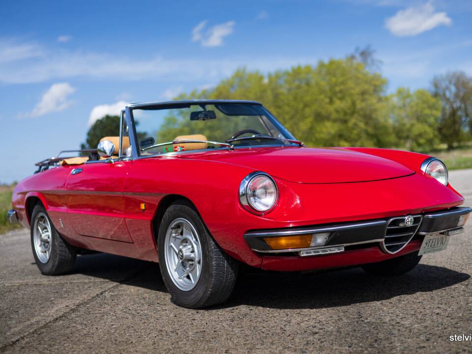 Afbeelding 6/42 van Alfa Romeo 2000 Spider Veloce (1980)
