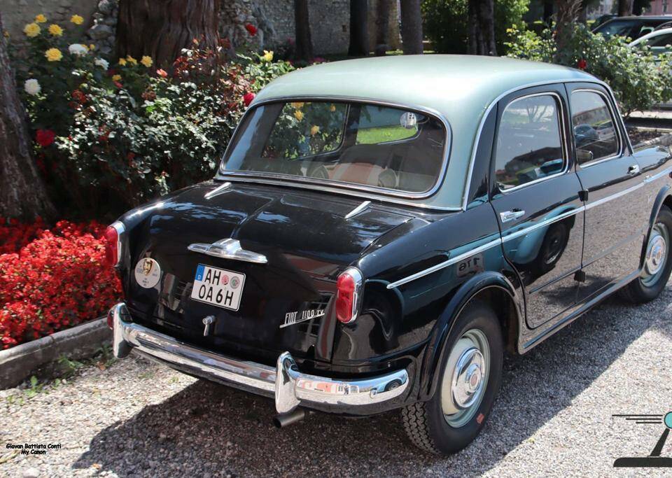 Immagine 22/88 di FIAT 1100-103 TV (1955)