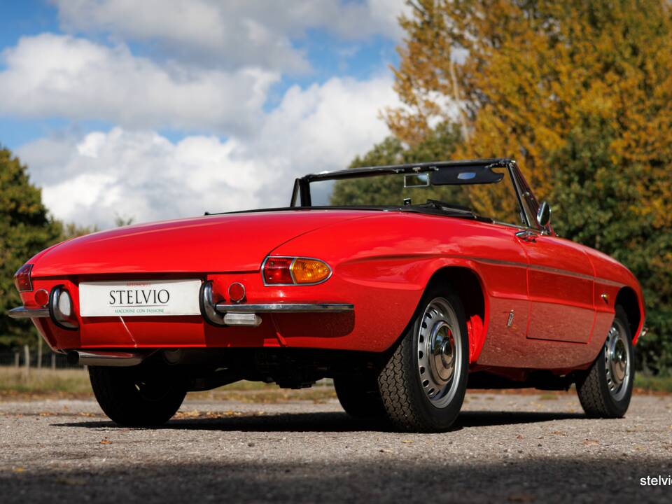 Afbeelding 10/50 van Alfa Romeo 1600 Spider Duetto (1967)