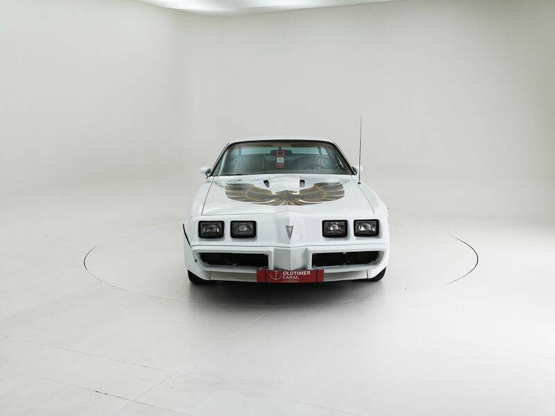 Bild 5/15 von Pontiac Firebird Turbo TransAm (1981)