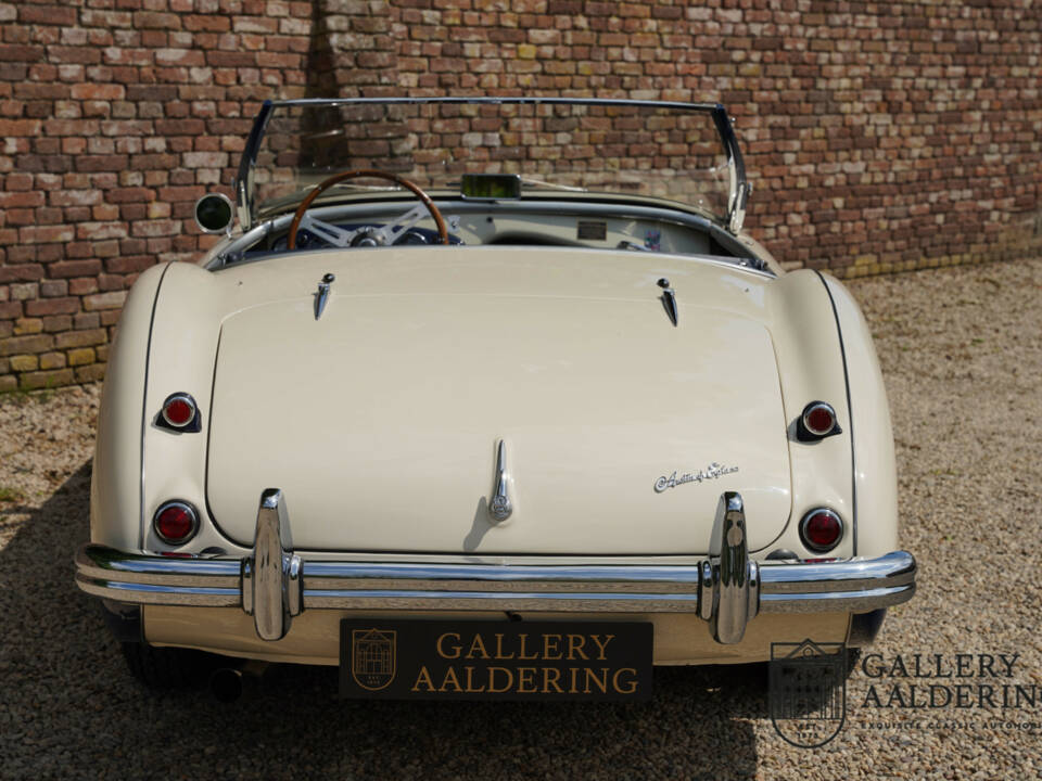 Afbeelding 7/50 van Austin-Healey 100&#x2F;4 (BN1) (1954)