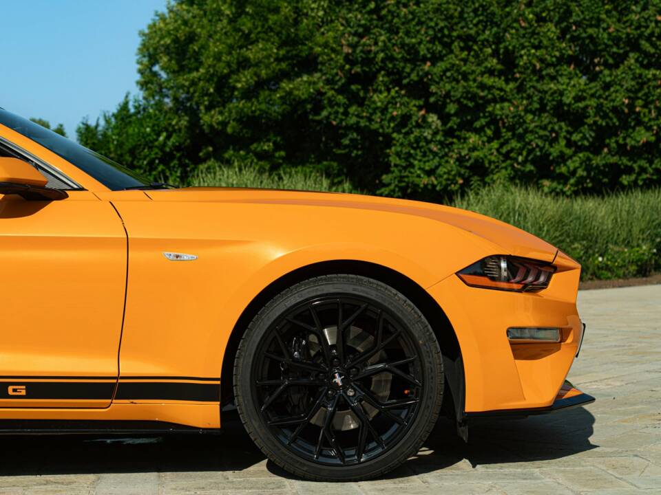 Bild 8/50 von Ford Mustang 2.3 Ecoboost (2019)
