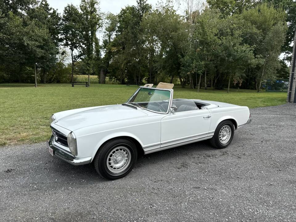 Immagine 4/8 di Mercedes-Benz 230 SL (1965)