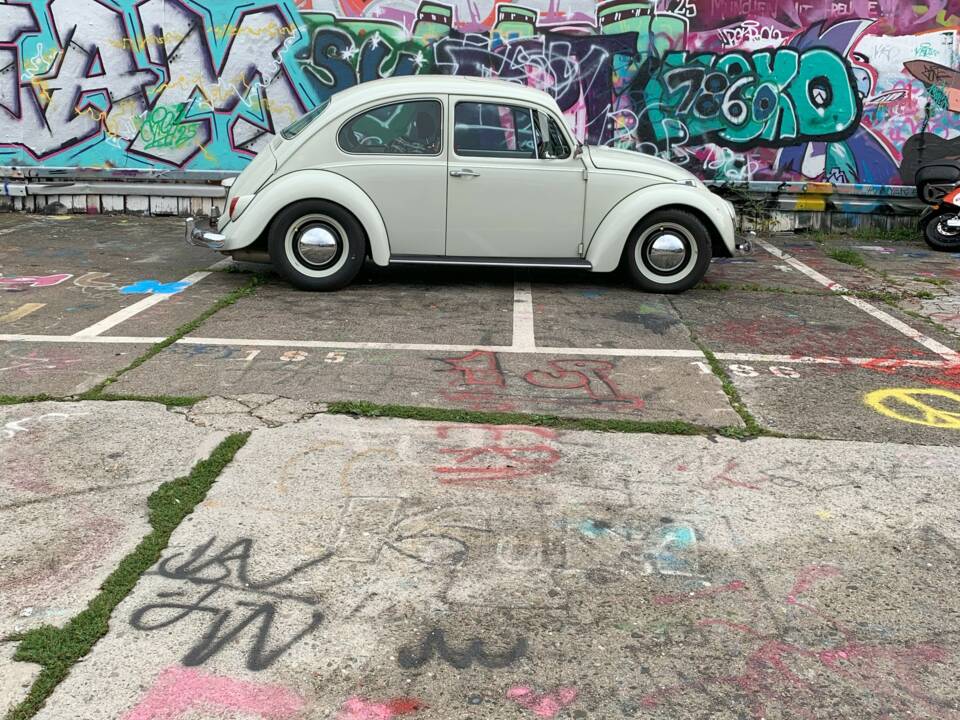 Bild 31/56 von Volkswagen Käfer 1300 (1968)
