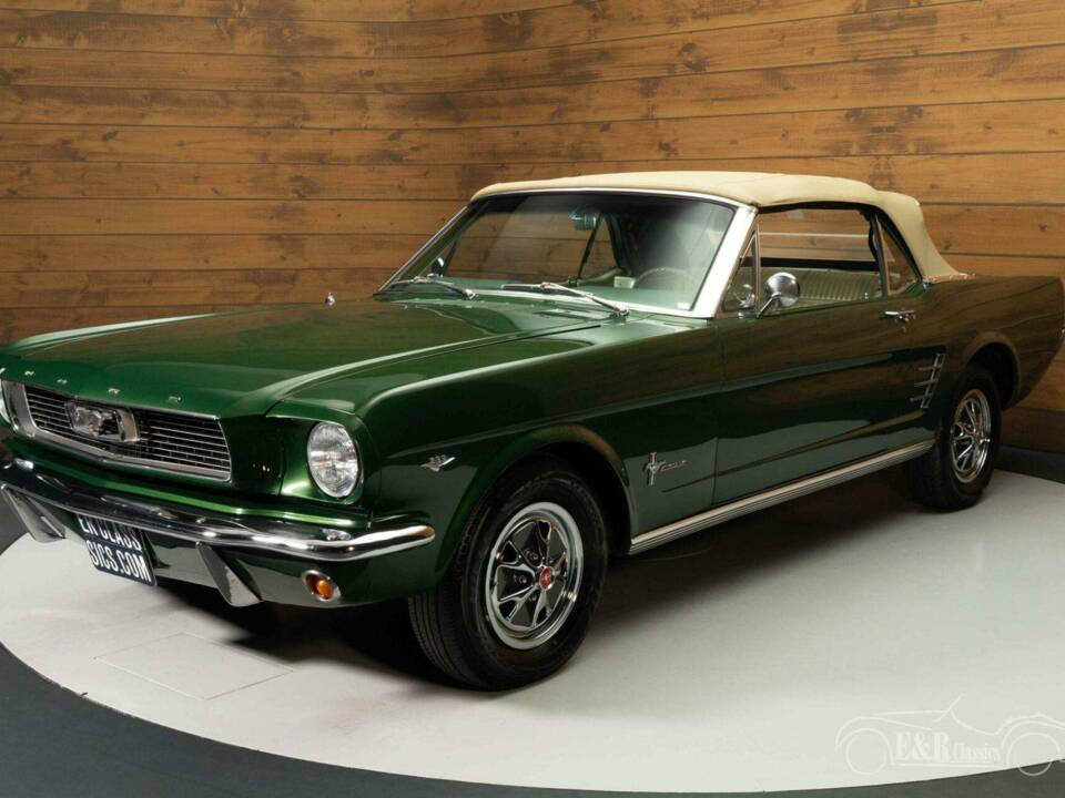 Immagine 9/19 di Ford Mustang 289 (1966)