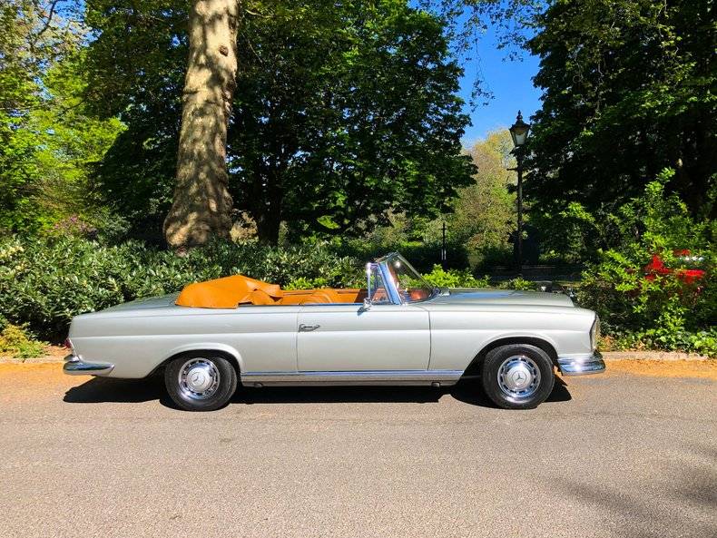 Bild 48/50 von Mercedes-Benz 220 SE b (1963)