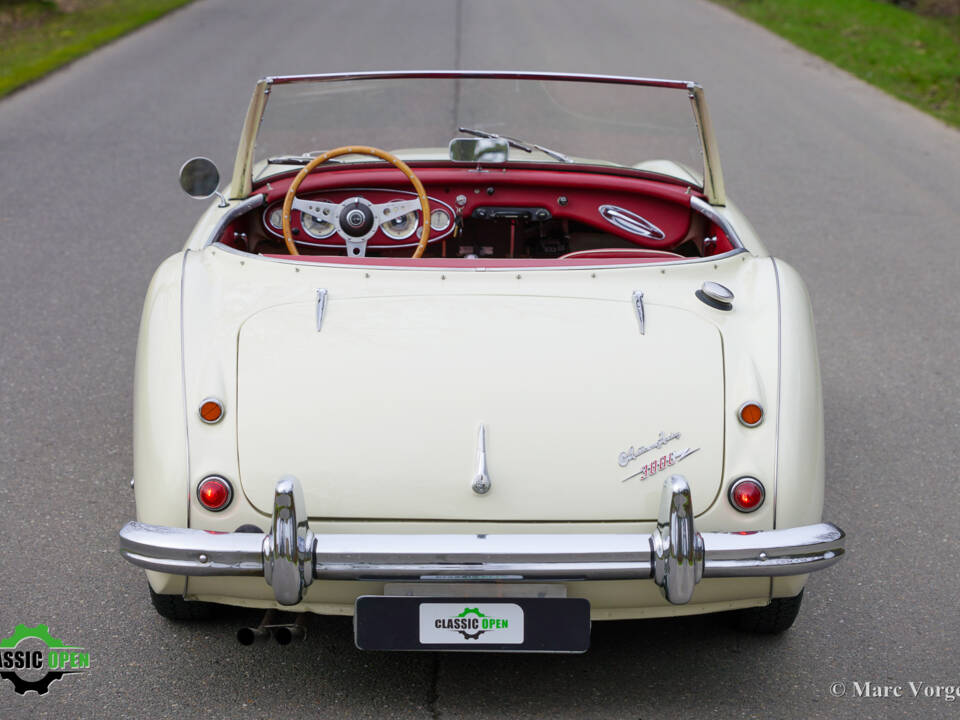 Immagine 47/50 di Austin-Healey 3000 Mk II (BT7) (1961)