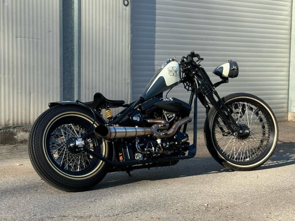 Imagen 11/60 de Harley-Davidson DUMMY (2017)