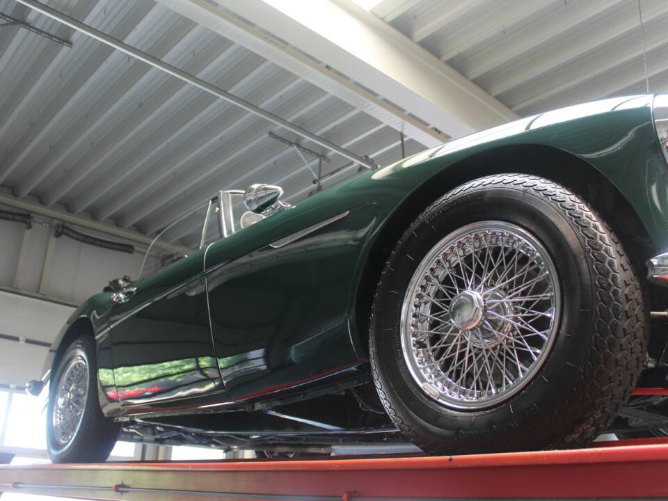 Imagen 7/50 de Austin-Healey 3000 Mk III (BJ8) (1967)