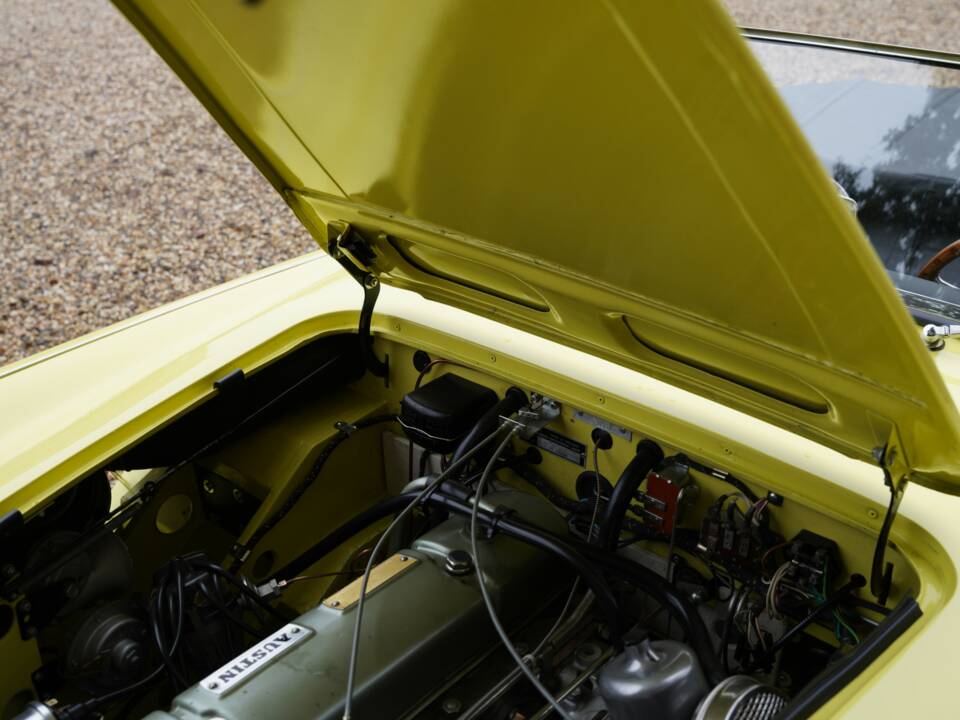 Bild 26/50 von Austin-Healey 3000 Mk I (BN7) (1960)