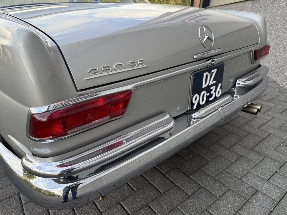Immagine 11/36 di Mercedes-Benz 250 SE (1966)