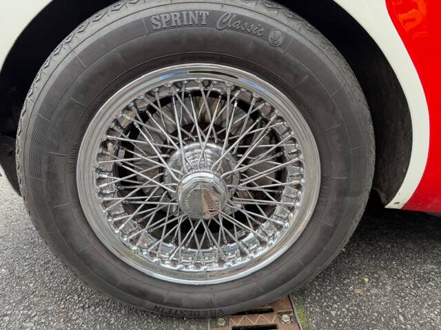 Bild 17/17 von Austin-Healey 100/6 (BN4) (1957)