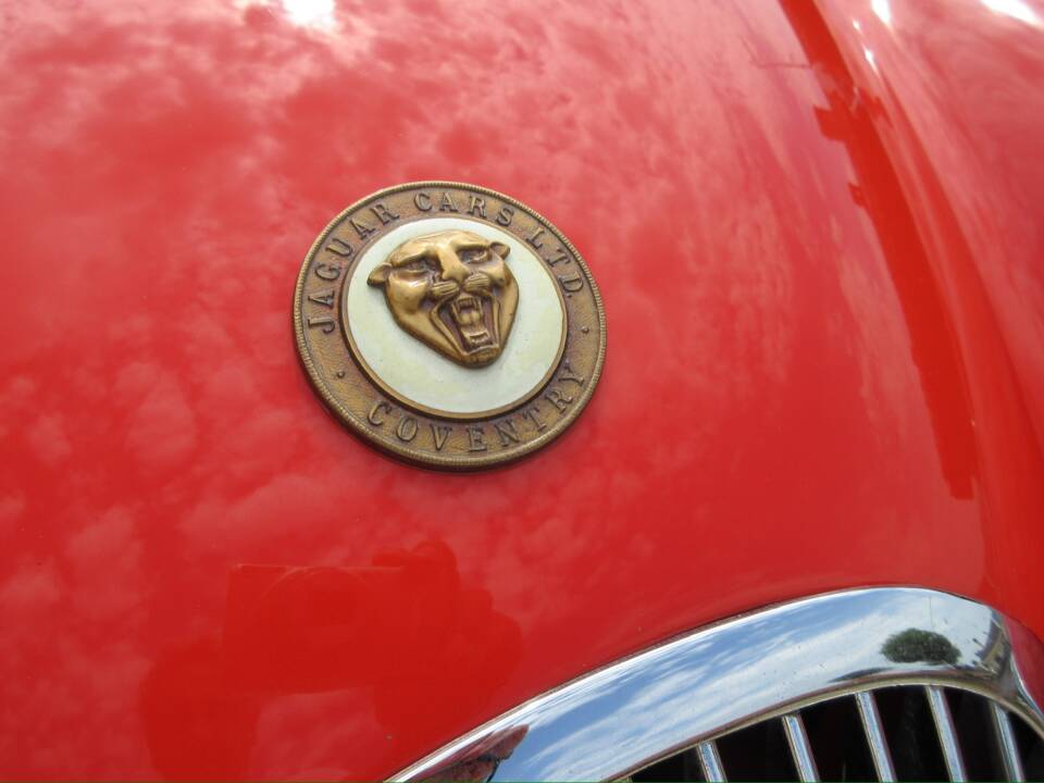 Bild 12/45 von Jaguar XK 120 SE OTS (1954)
