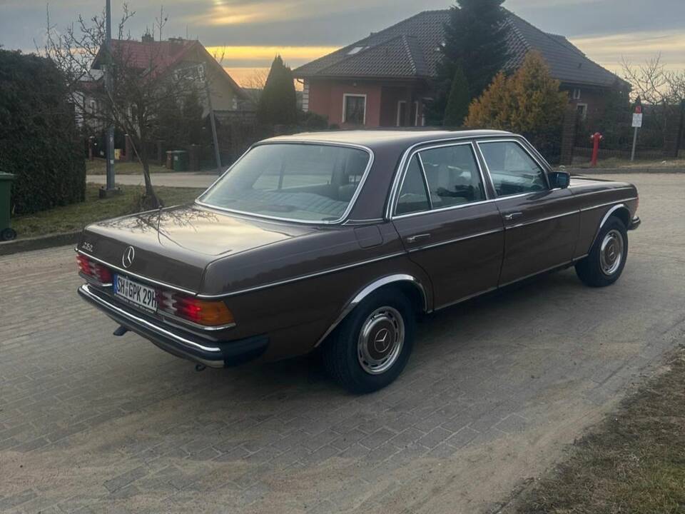 Bild 8/8 von Mercedes-Benz 250 (1980)